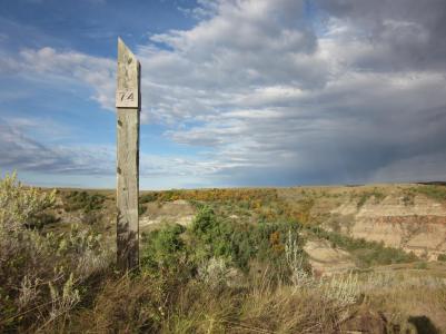 IMG_0023_Easy-Resize.com