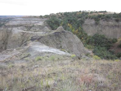 IMG_0056_Easy-Resize.com