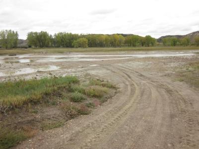 IMG_0061_Easy-Resize.com