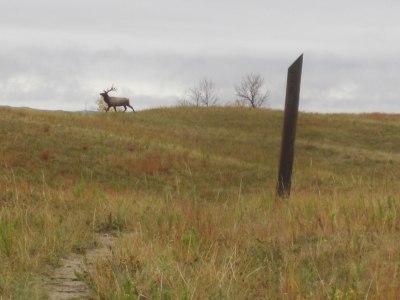 IMG_0106_Easy-Resize.com