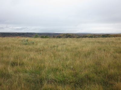 IMG_0109_Easy-Resize.com