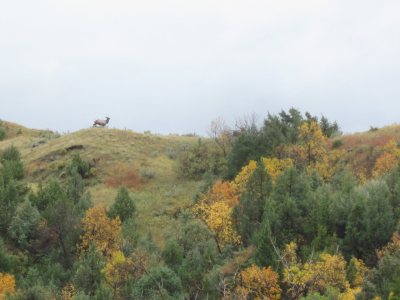 IMG_0110_Easy-Resize.com