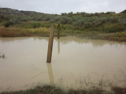 IMG_0111_Easy-Resize.com