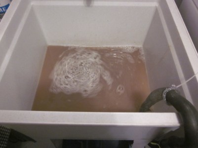 IMG_0119_Easy-Resize.com