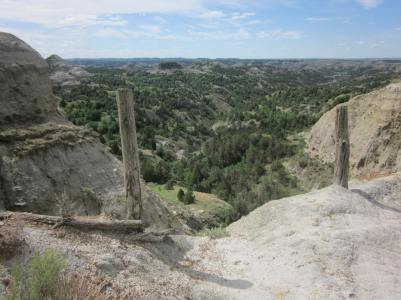 IMG_2113_Easy-Resize.com