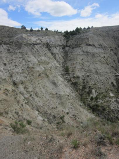 IMG_2118_Easy-Resize.com