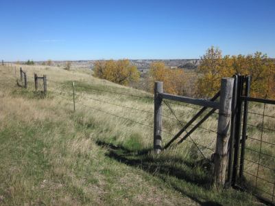 IMG_9965_Easy-Resize.com