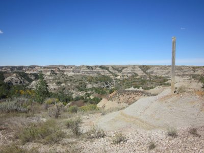 IMG_9977_Easy-Resize.com