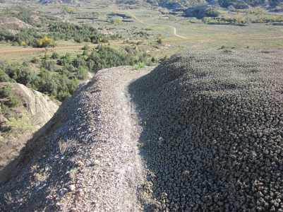 IMG_9998_Easy-Resize.com